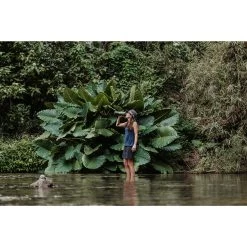 Grayl GEOPRESS PURIFIER - Trinkwasserfilter 13 Grayl GEOPRESS PURIFIER - Trinkwasserfilter -Camping Welt Verkauf 5637917282 f geopress purifier grayl 24