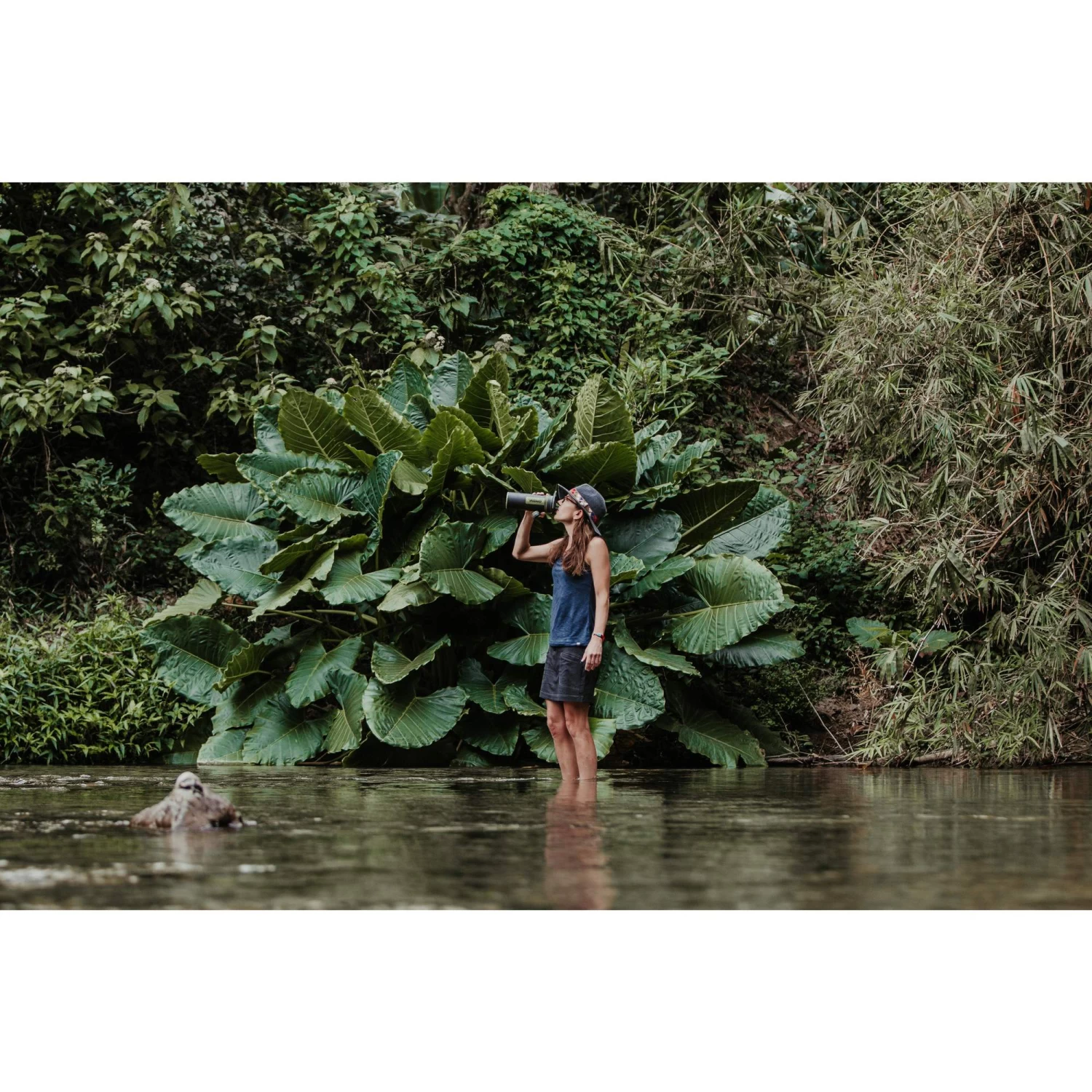 Grayl GEOPRESS PURIFIER - Trinkwasserfilter 6 Grayl GEOPRESS PURIFIER - Trinkwasserfilter – Bild 6